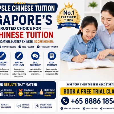 best-psle-chinese-tuition-singapore